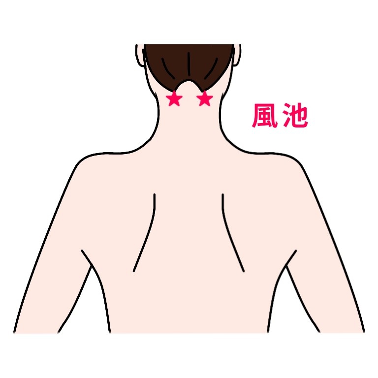<span style='color:#ff0000;'>風池</span><br>後頭部を背中側になぞって凹んでいる辺り<br><br>＊首や頭の緊張をほぐします。＊頭痛を和らげます。<br>