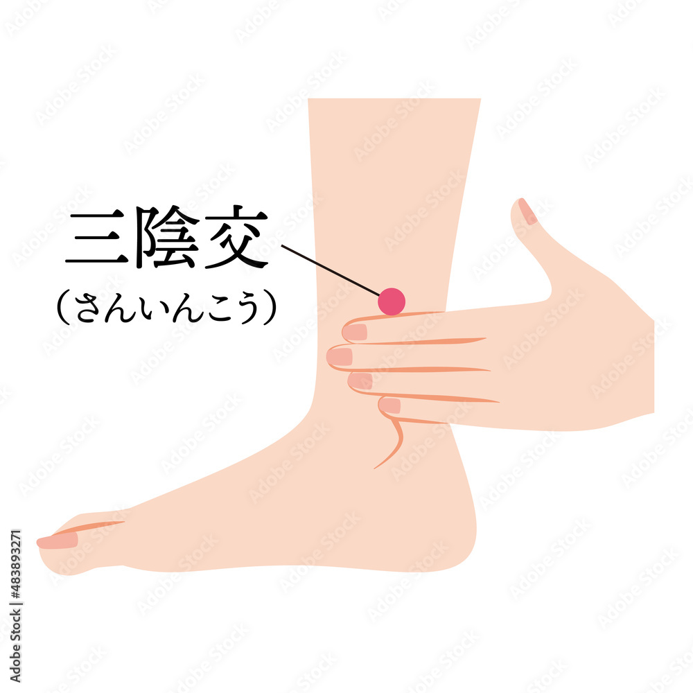 むくみ<br><br><span style='color:#ff0000;'>三陰交</span><br>内くるぶしから指4本上あたり<br><br>＊全身のむくみや女性の特有の不調に効果的<br>