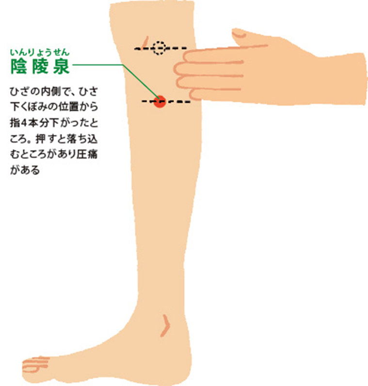 むくみ<br><br><span style='color:#ff0000;'>陰陵泉</span><br>三陰交の骨の縁をなぞって膝関節付近でとまるところ<br><br>＊体内の水分バランスを整えてくれる。<br><br><br>隙間時間にやってみてください。<br>そして、このジメジメした時期を乗り越えましょう！<br>