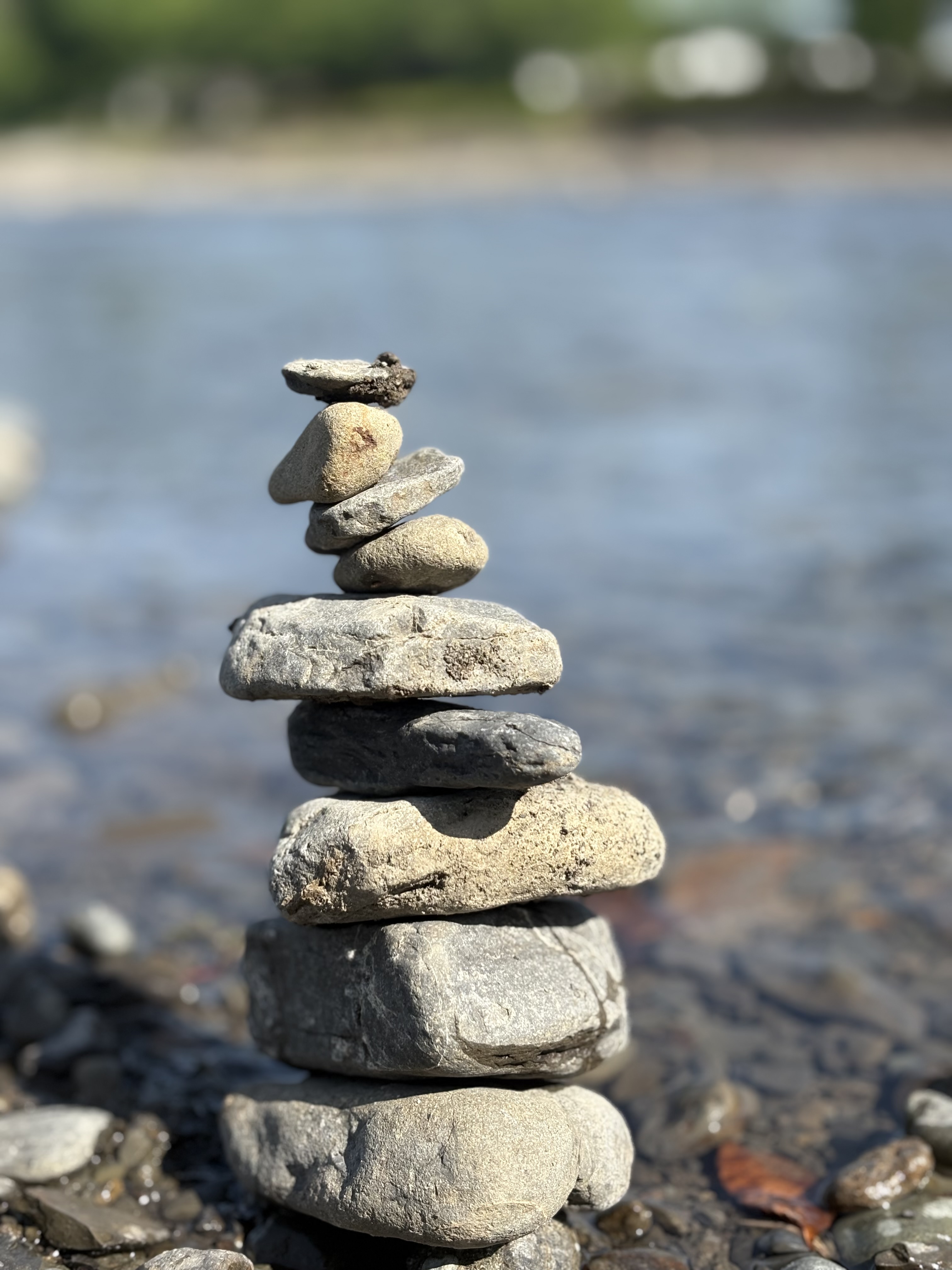 こんにちは！
各地で桜満開宣言が出ていますが、観に行かれましたか？

ここ藤枝はまだ満開にはちょっと足りないかな・・・。
今週も雨中心の天気なんで週末の桜祭りまでに満開になるか心配ですね( ´∀｀)

さて、３月もあと２日！あっという間に３ヶ月が経ち新年度が始まります。

このブログでも3・4月は季節も人間も動く時期で体調の波もいつもより大きいと
書かせていただきました。
言った手前自分はより注意していたのですが、
先週の後半は原因はよく分かりませんが体調がよろしくなく、朝活のJOGも
やるもののイマイチ・・・。
気にしているつもりではいたのですが、しっかりと自分のコンディショニングを
把握しきれていなかったみたいですd(￣ ￣)

頭痛・倦怠感・ボーッとしやすく・動くのが怠いなど
一気にスイッチがOFFになった気分です♪(´ε｀ )

それが木〜土曜日まで続いたので心身ともに疲労困憊でした。
そんな時は、しっかり食べて・湯船に浸かって・早めに寝るが一番！

３日間かかって復活！

日曜日の朝は久々に気持ちよく起きれて気持ちよく走れてホッとしています！

急な体調変化になっても自分なりにやることを決めておけば
焦ることなく対処できるかと思います。

基本のことですが、食事・睡眠・身体を動かす！
この３柱がバランスよくやれているかを常に把握しておくことがポイントです。

凝ったことはしなくてもOK！当たり前のことをあたりまえに行うことが
結局１番です！

今週は、雨中心の天気なのでうまく対処して雨を楽しく過ごしましょう( ◠‿◠ )

雨降る前に朝JOGできてよかったぜぇ〜！！