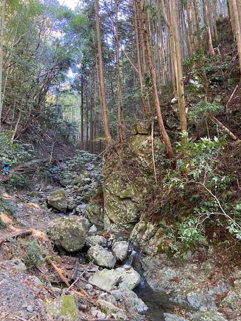 <b>終盤の下り<br>走らされるコース！<br>頑張って前の人に喰らいついて下ったが、<br>ドンドン離されてしまう・・。<br><br>伸びしろあり(笑)<br></b>