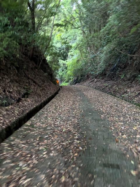 明治トンネルは何回も通っているが、全く慣れていない・・・。<br>速足で駆け抜ける・・・。<br>