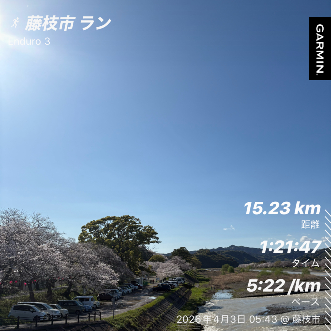 こんにちは！<br><br>今日はとても良い天気で花見日和ですね！<br>日中は上着いらずで過ごせそうな陽気でアクティブに過ごせそうな気がします。<br><br>治療院近くに流れている瀬戸川沿いは約２kmの桜並木があります！先週はまだ<br>5〜７分咲きでしたが昨日の時点でほぼ満開ですね！<br><br>夜はライトアップされて綺麗ですので是非、楽しんでみてはいかがでしょうか！？<br><br>明日が雨が強いそうなので今日のうちに( ◠‿◠ )<br><br>さて、今朝の朝活ジョグは久々の15km走のジョグ！ここ最近は登りに特化した練習でしたので<br>今日はロードを長く走ってきました。<br>静岡マラソン終わってからロード15kmははじめてですね( ´∀｀)<br><br>いつも以上に心肺数が上がっているような気がしました・・・。<br><br>ロードと登りはやはり違うなと改めて実感することもできましたし、偏りすぎても<br>よくないなと実感しましたのでロードの15km走も週1〜２回は実施しようと<br>走りながらメニューを組みなおすしていました。<br>抽選が通れば12月のITJに参戦して前回のリベンジを果たしたいと計画しています。<br>（前回は65km地点残り約５kmでハンガーノック状態で動けなくなり1時間ストップ<br>なんとか、サポートもあり復活して完走）その為にも、走力＆登り力を並行して<br>今年はいつも以上に行っていきます。<br><br>3月は走行距離が200kmの登りが4,000m想定よりもだいぶ低いですが<br>4月からは上げて300kmの8000mぐらいを目標にやっていきます！！<br><br>想定よりもだいぶ低かったのですが今朝のジョグ終盤にある急登ですが<br>以前より楽に登り切ることができました。<br>１ヶ月でここまで変わるのかとびっくりですね。やれば身体は変わる！！<br><br>引き続き目標に向かってガチでやっていきます( ◠‿◠ )<br><br>週末はやいづ港マラソン！当初は大雨＆雷みたいな大荒れ予報でしたが<br>今朝見たら回復！例年通り暑いやいづ港マラソンになりそうです！<br><br>走る前に補給（ミネラル）！ハーフの方はこまめにミネラル系の補給をしましょう！<br>摂取し過ぎもよくないので適度に！！<br>参加されるかた頑張ってください！！<br><br>関東インカレも併催するので今年は大いに盛り上がるでしょう✌︎('ω'✌︎ )<br><br>では良い週末を！<br>