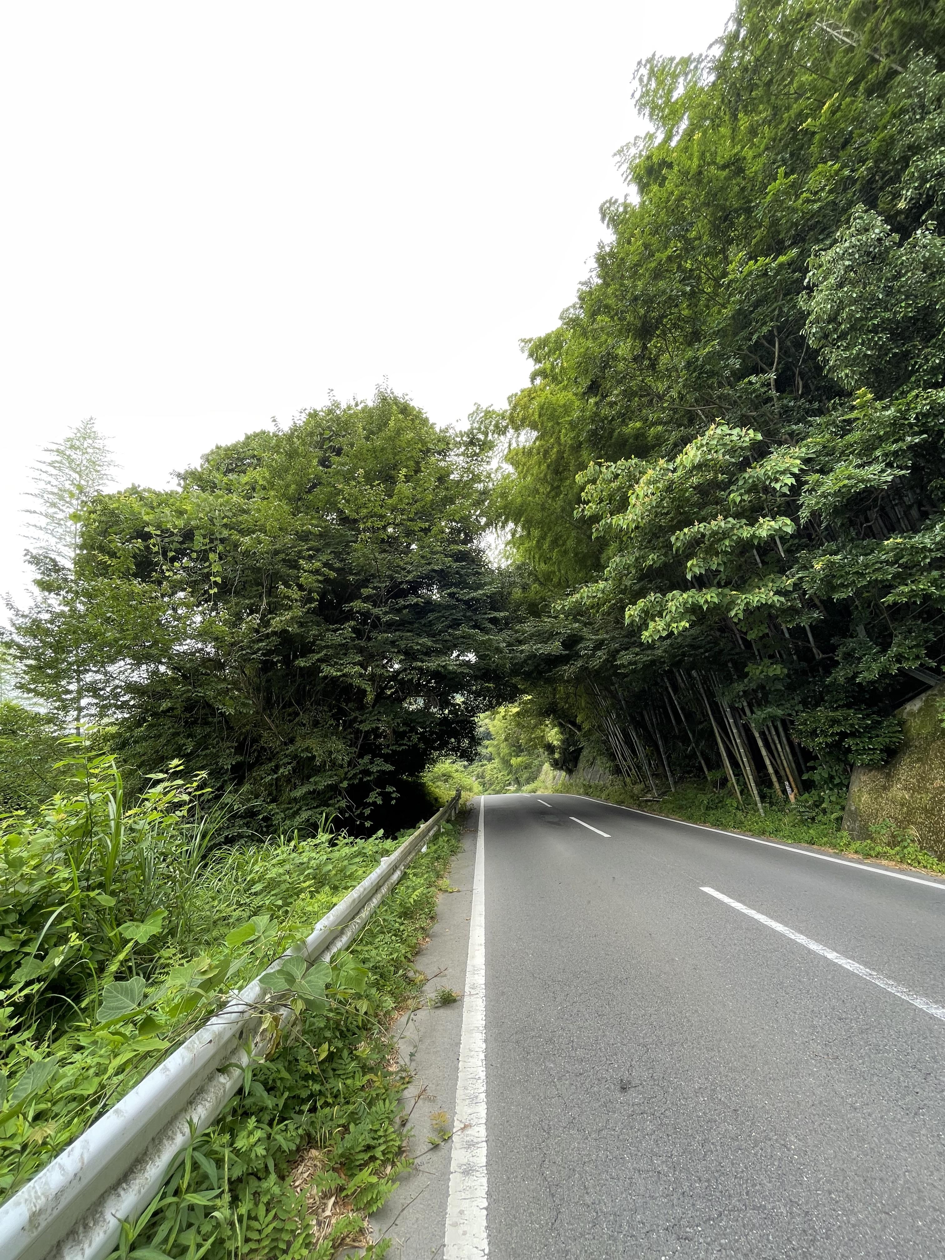 <b>近所にある坂道！<br><span style='font-size:1.4em;'><span style='color:#ff0000;'>約９００ｍ登り！！</span></span>マジでキツイ・・・(*_*)</b>