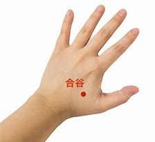 オールマイティーのツボ！<br>