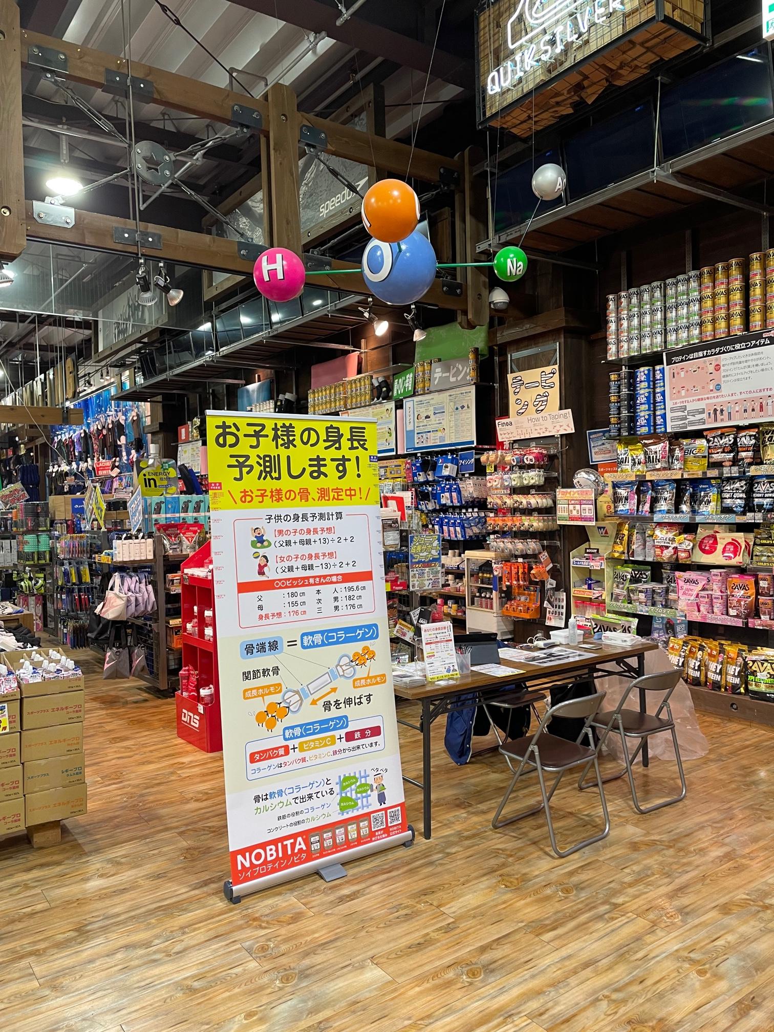 <b><span style='color:#0000ff;'>将来の身長測定会</span></b>